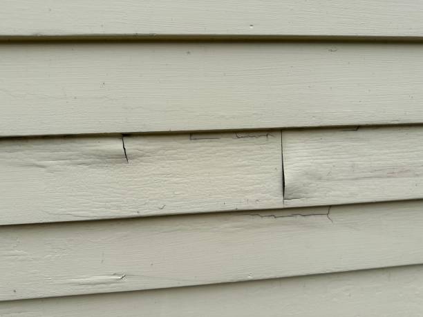 Best Shed Removal  in Hamlin, TX